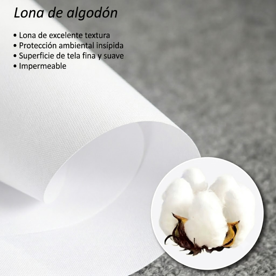 Poster Decorativo de Peleadores Edición Leyendas